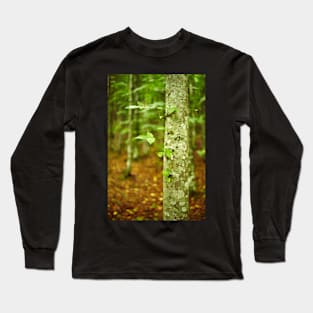 Hornbeam forest on summer Long Sleeve T-Shirt